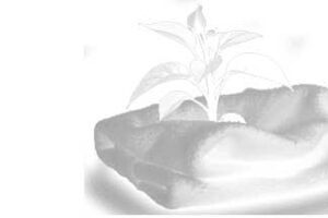 Umwelt & Nachhaltigkeit