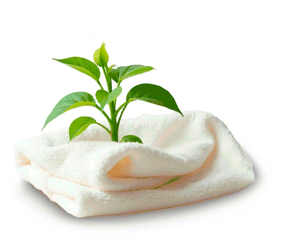 Umwelt & Nachhaltigkeit